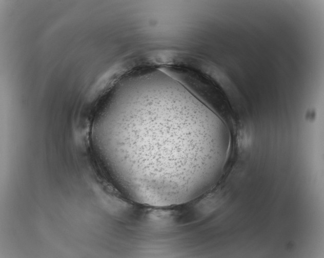 X0000113100332200909111058