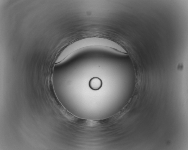 X0000113100333200909111058
