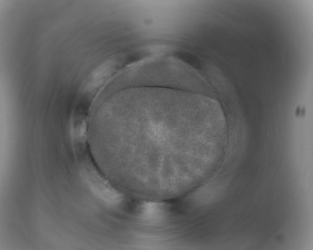 X0000113100336200909111058