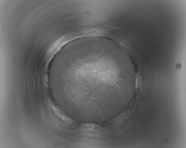 X0000113100339200909111057