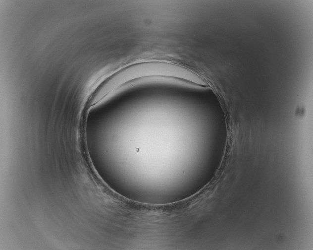 X0000113100340200909111057