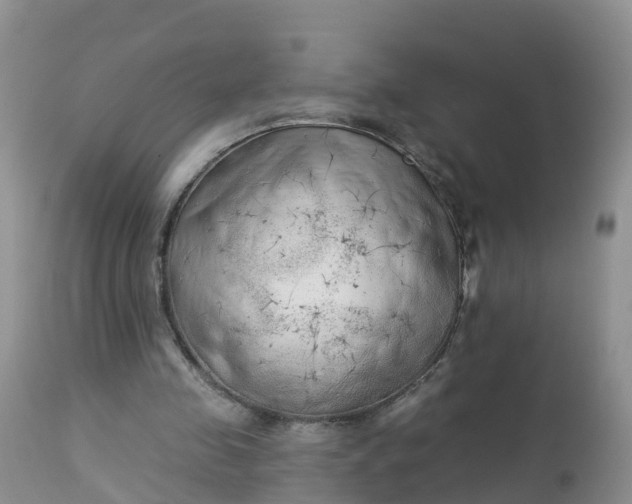 X0000113100341200909111057