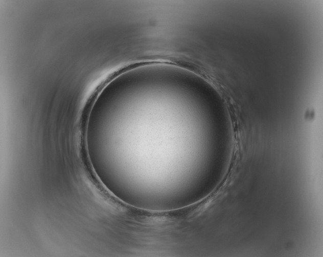 X0000113100342200909111057