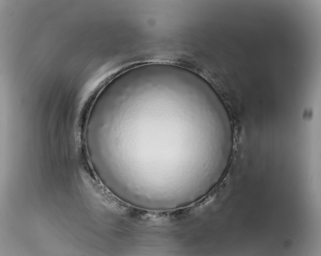 X0000113100343200909111057