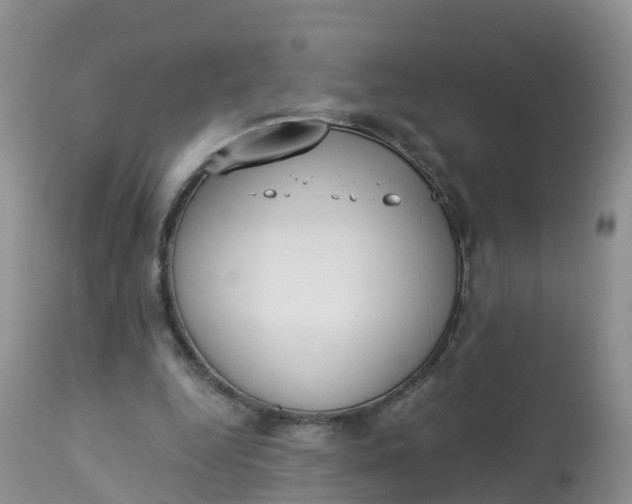 X0000113100344200909111057