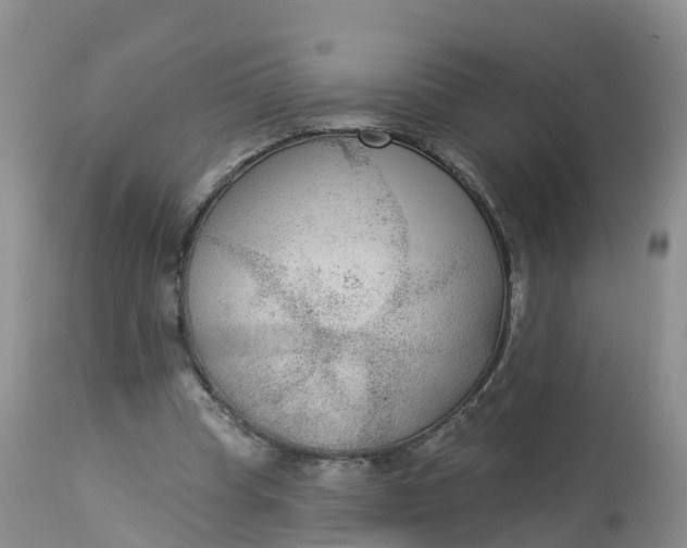X0000113100345200909111057