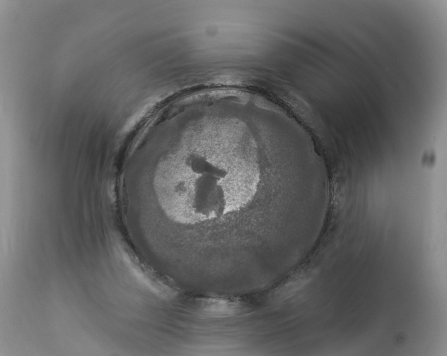 X0000113100347200909111057
