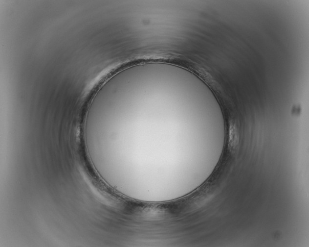 X0000113100348200909111057