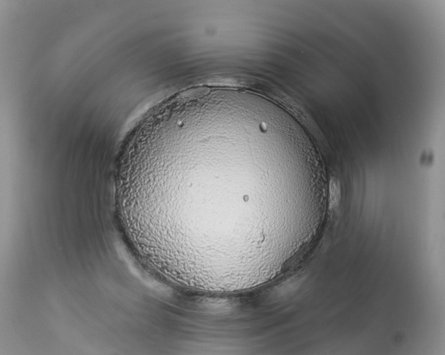 X0000113100349200909111057