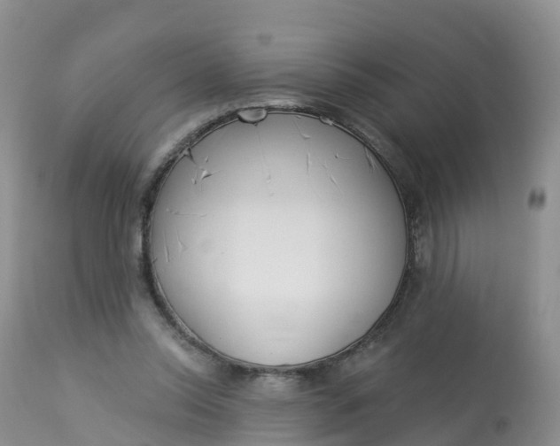 X0000113100350200909111057