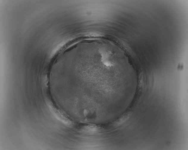 X0000113100351200909111057