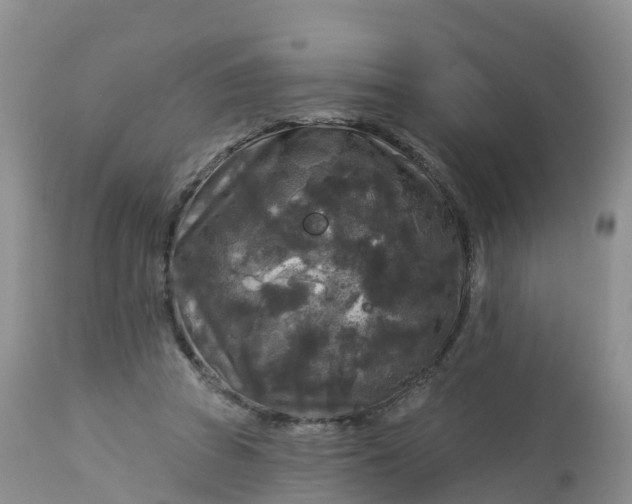 X0000113100353200909111057