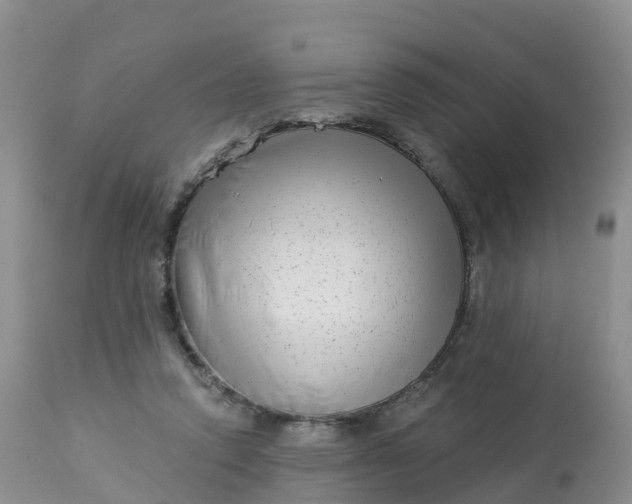 X0000113100354200909111057