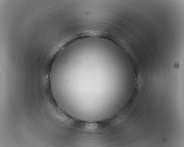 X0000113100355200909111057
