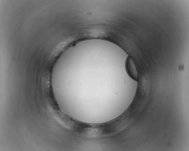 X0000113100356200909111057