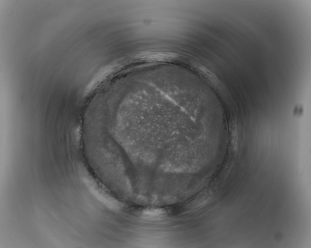 X0000113100357200909111057