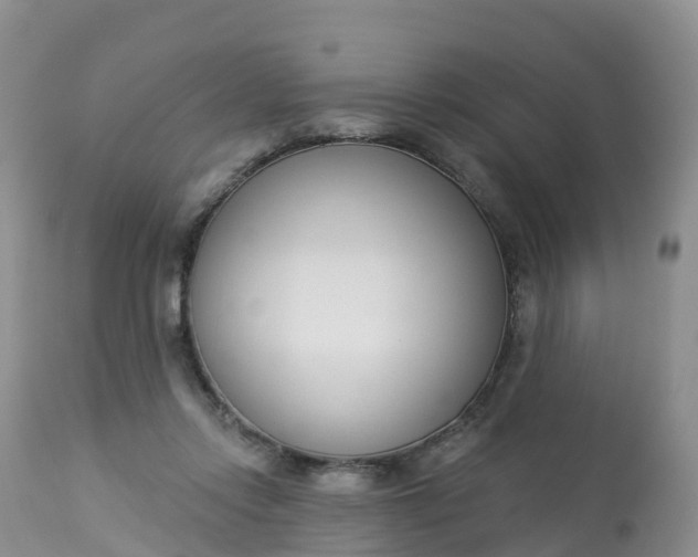X0000113100358200909111057