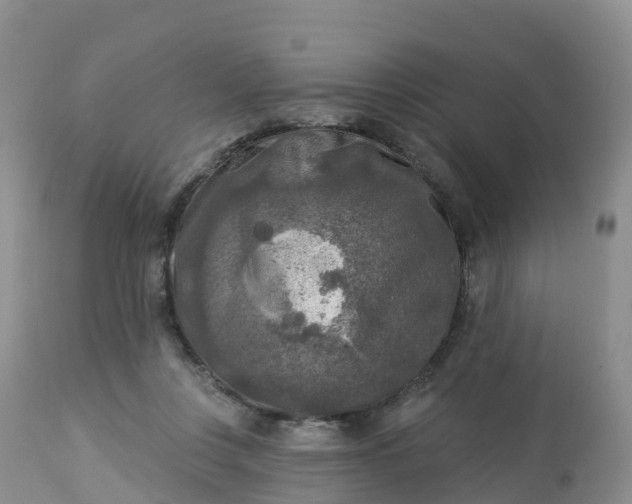X0000113100359200909111057