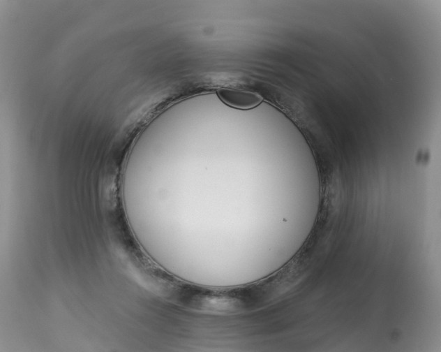 X0000113100360200909111057