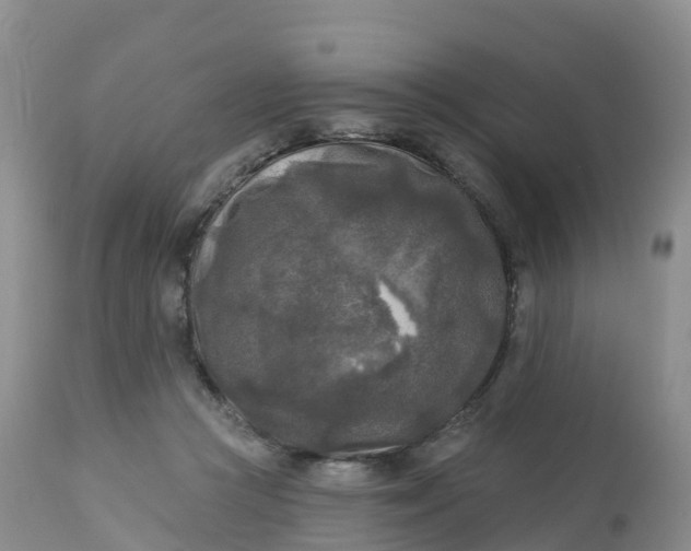 X0000113100361200909111057