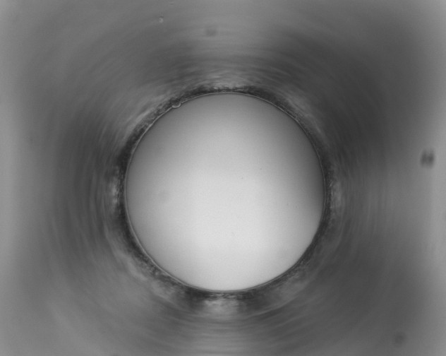 X0000113100362200909111057