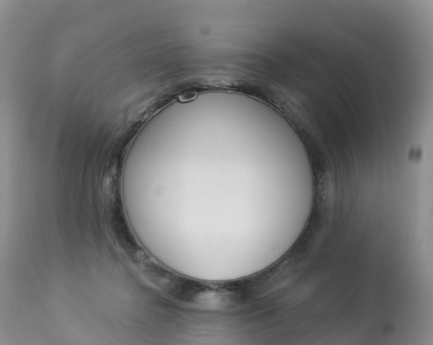 X0000113100364200909111057