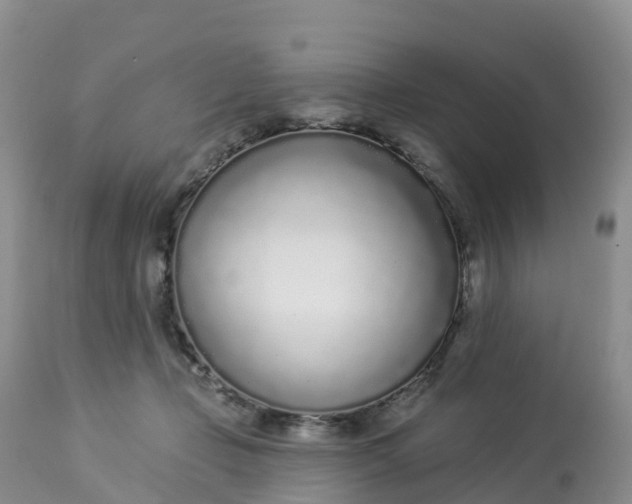 X0000113100365200909111057