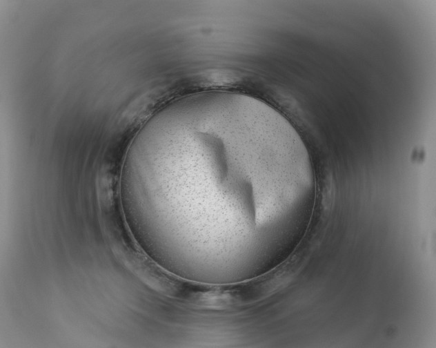 X0000113100366200909111057