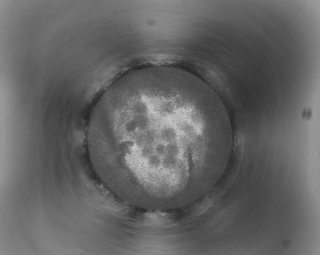 X0000113100367200909111057