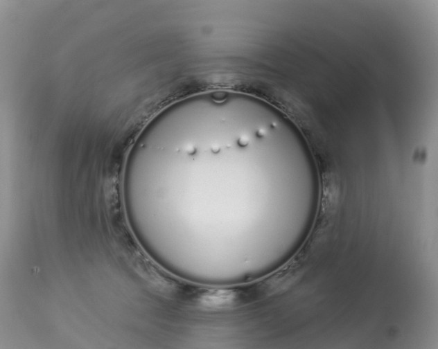 X0000113100369200909111057