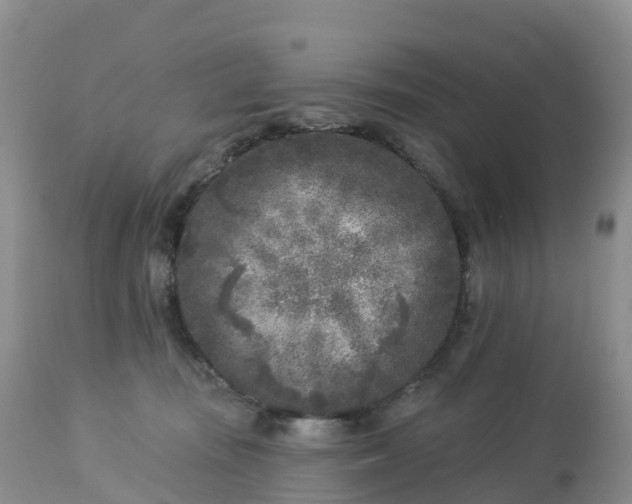 X0000113100371200909111057