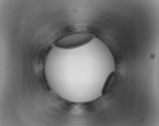 X0000113100372200909111057