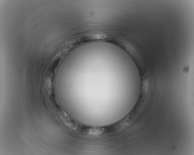 X0000113100373200909111057