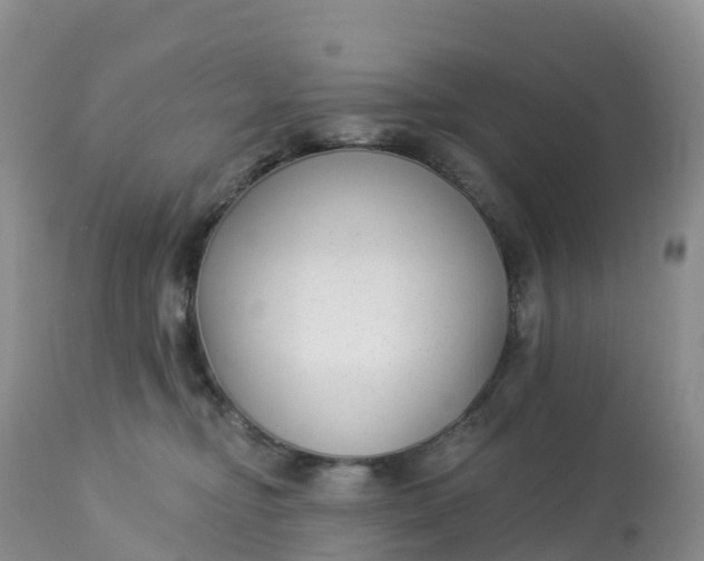 X0000113100374200909111057
