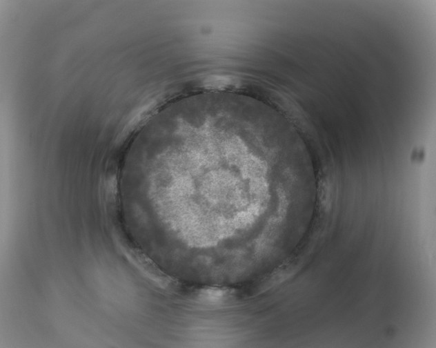 X0000113100375200909111057