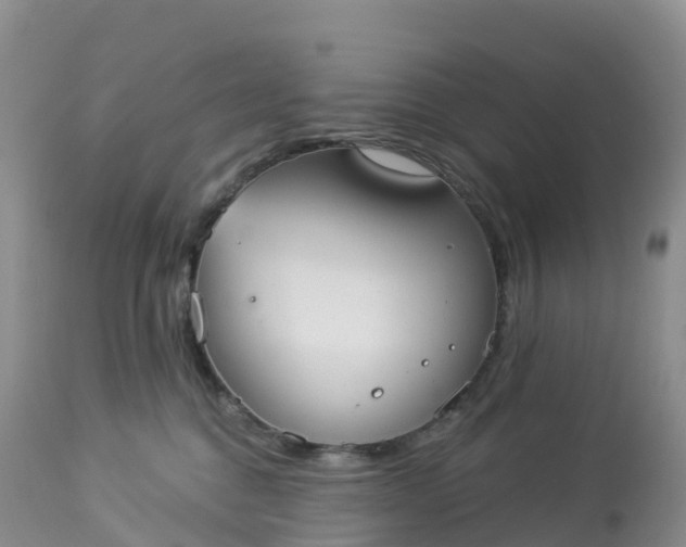 X0000113100376200909111057