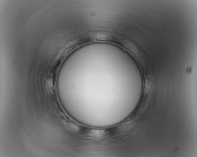 X0000113100377200909111057