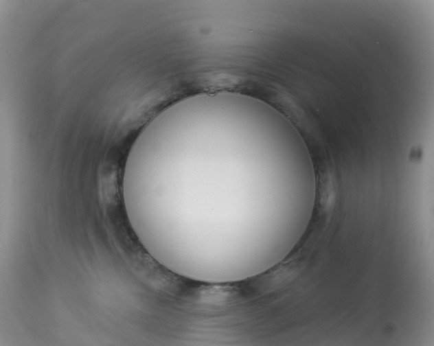 X0000113100378200909111057