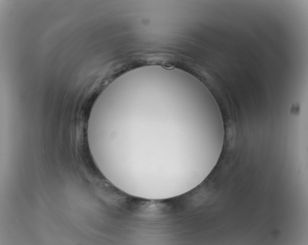 X0000113100379200909111057