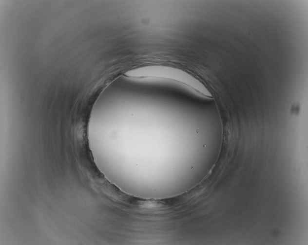 X0000113100380200909111057