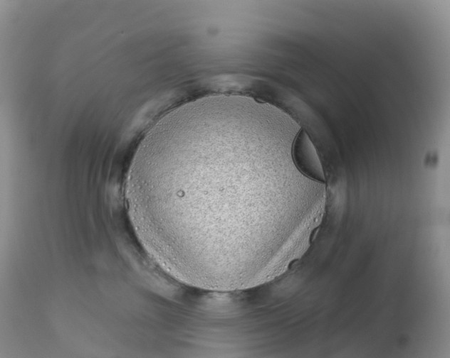 X0000113100381200909111057