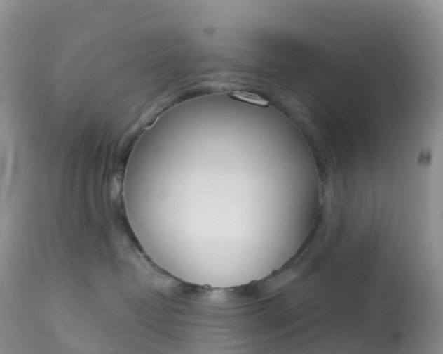 X0000113100382200909111058