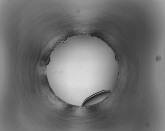 X0000113100384200909111058