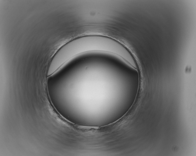 X0000113100385200909111057