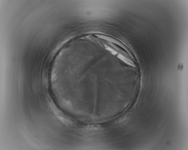 X0000113100386200909111057