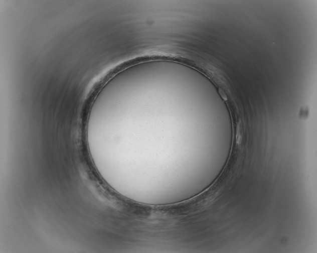 X0000113100388200909111057