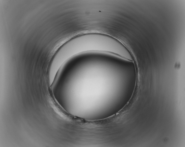 X0000113100389200909111057