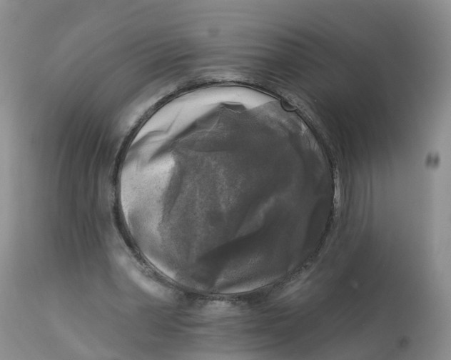 X0000113100390200909111057
