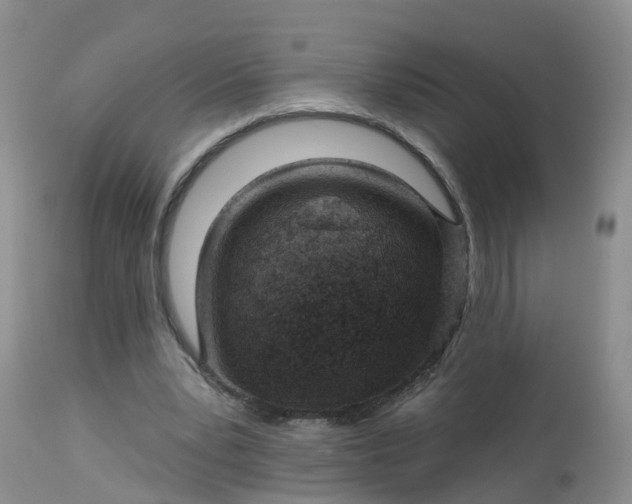 X0000113100391200909111057