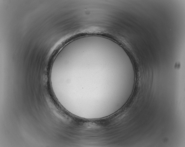 X0000113100392200909111057